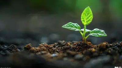 The Power of Compound Interest: Start Saving Early