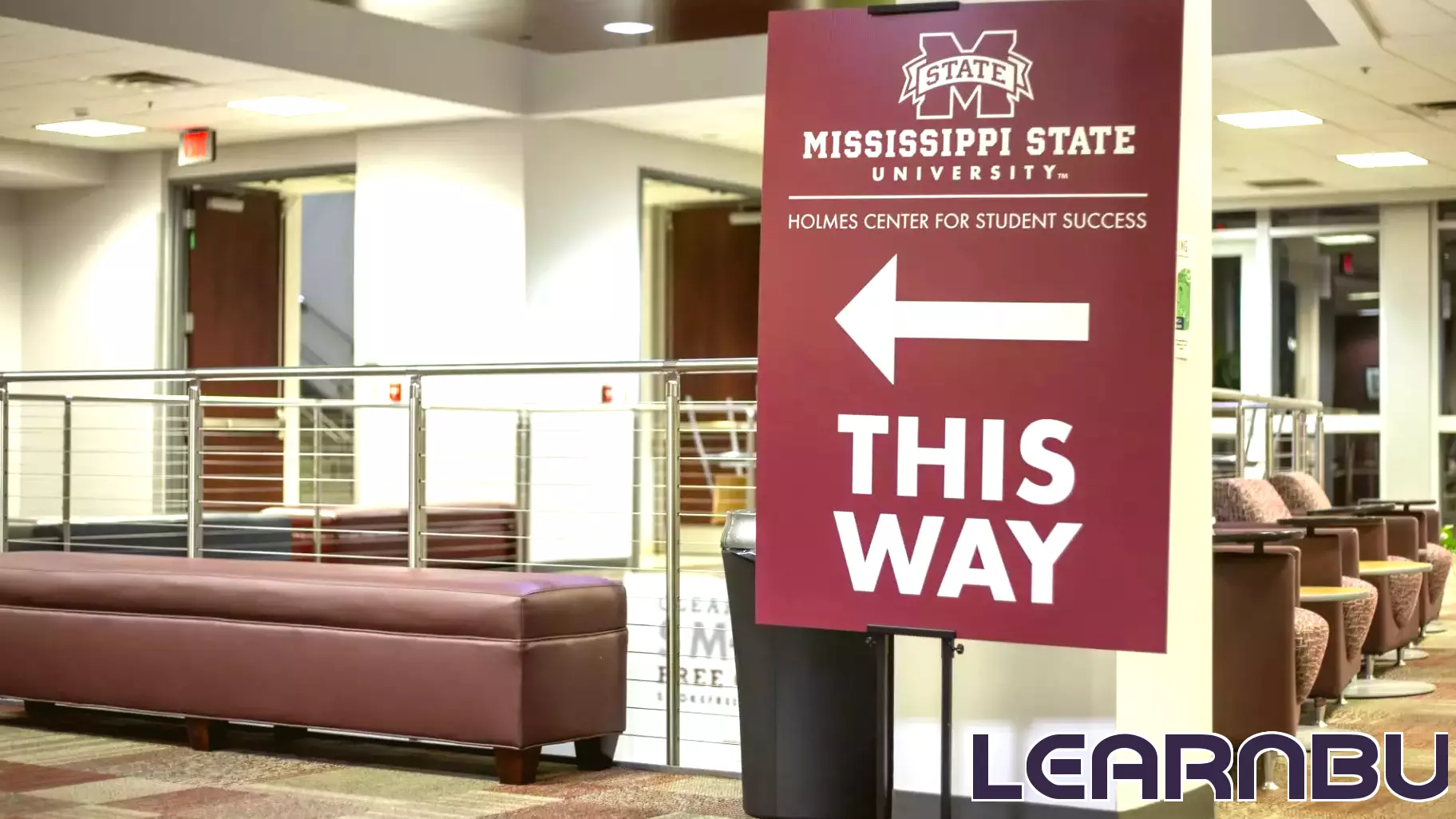 Court Revives Mississippi DEI Restrictions in Public Education