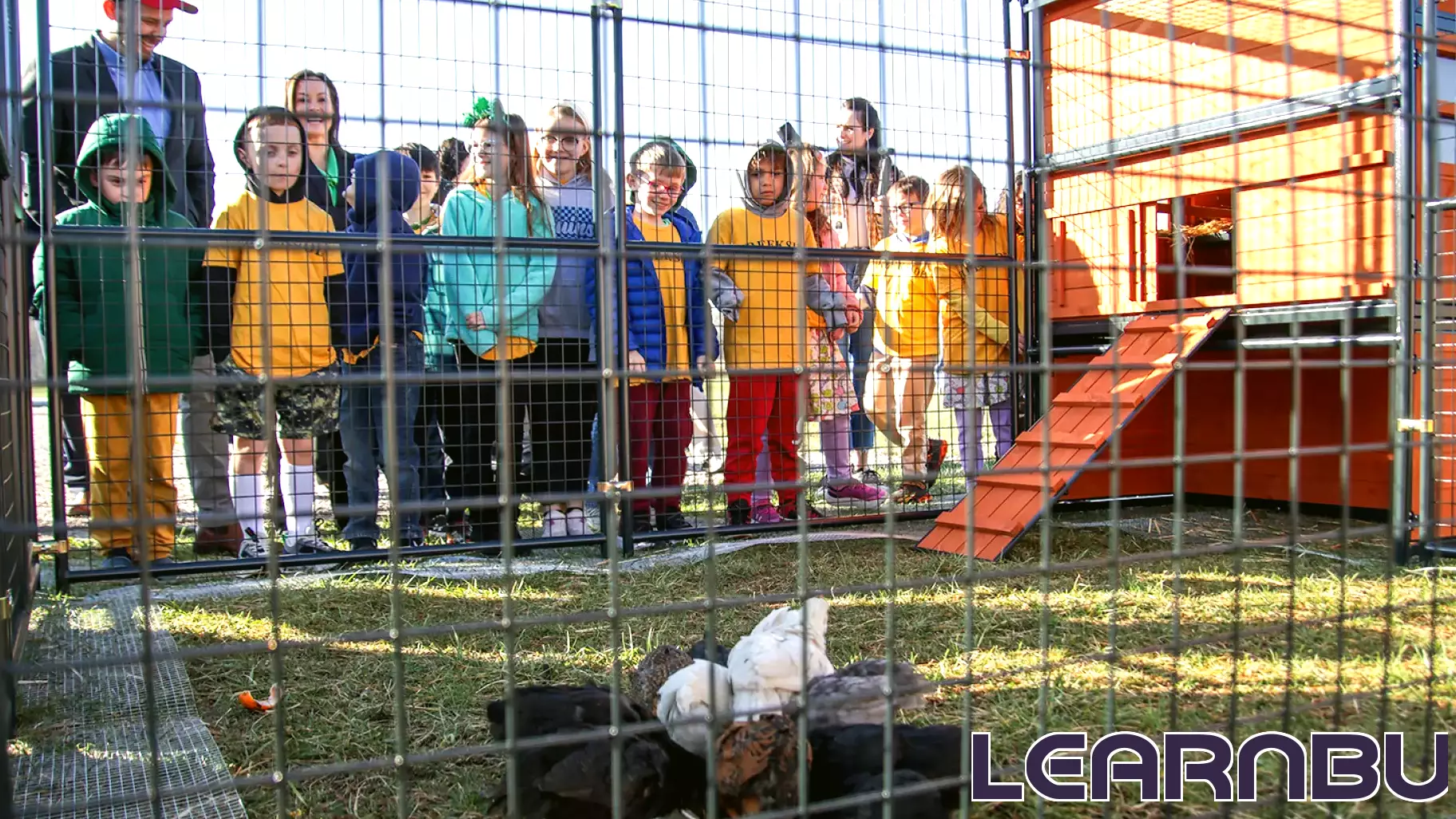 Creekside Elementary School Launches Exciting All In for Ag Education Week