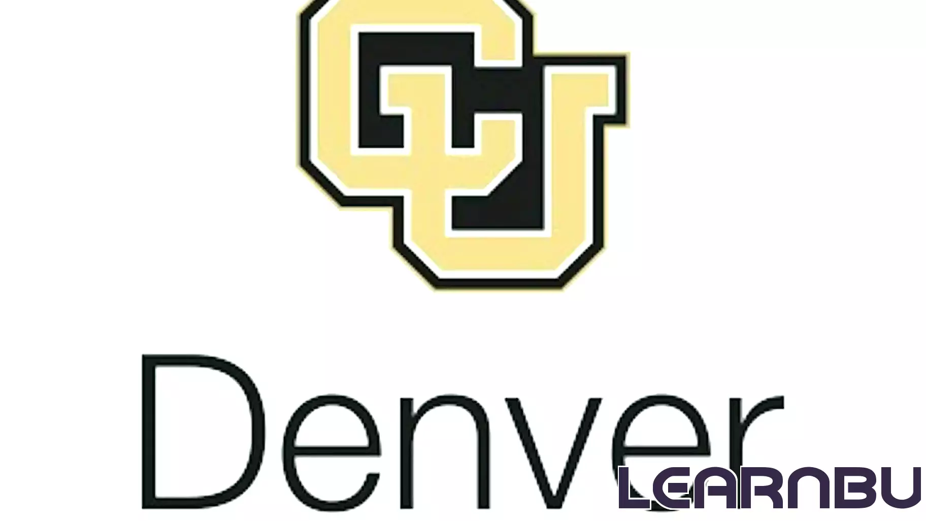 CU Denver Launches AI Hub for Practical Student Learning