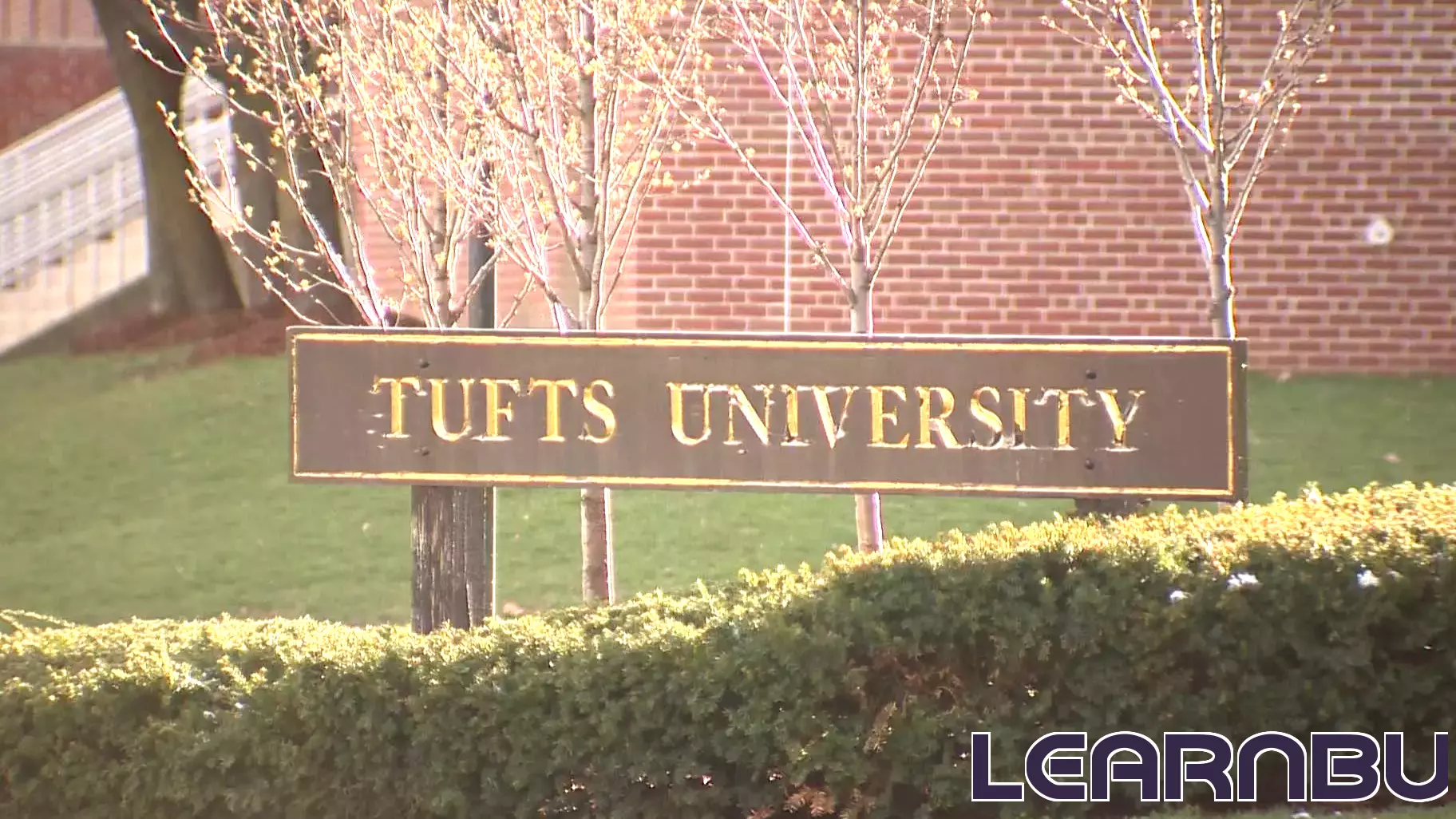 Education Department investigates Tufts over student data, elections