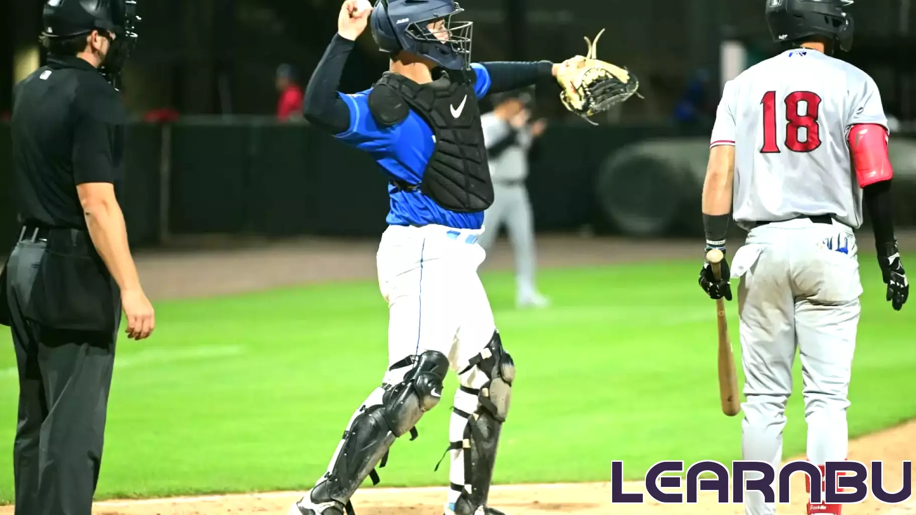 Errors Plague Howlers in Education Day Loss