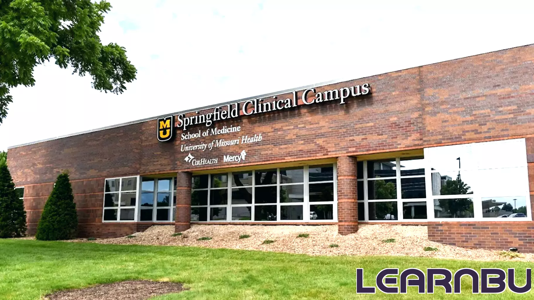 Expansion of Mizzou School of Medicine Program in Springfield to Address Rural Healthcare Needs