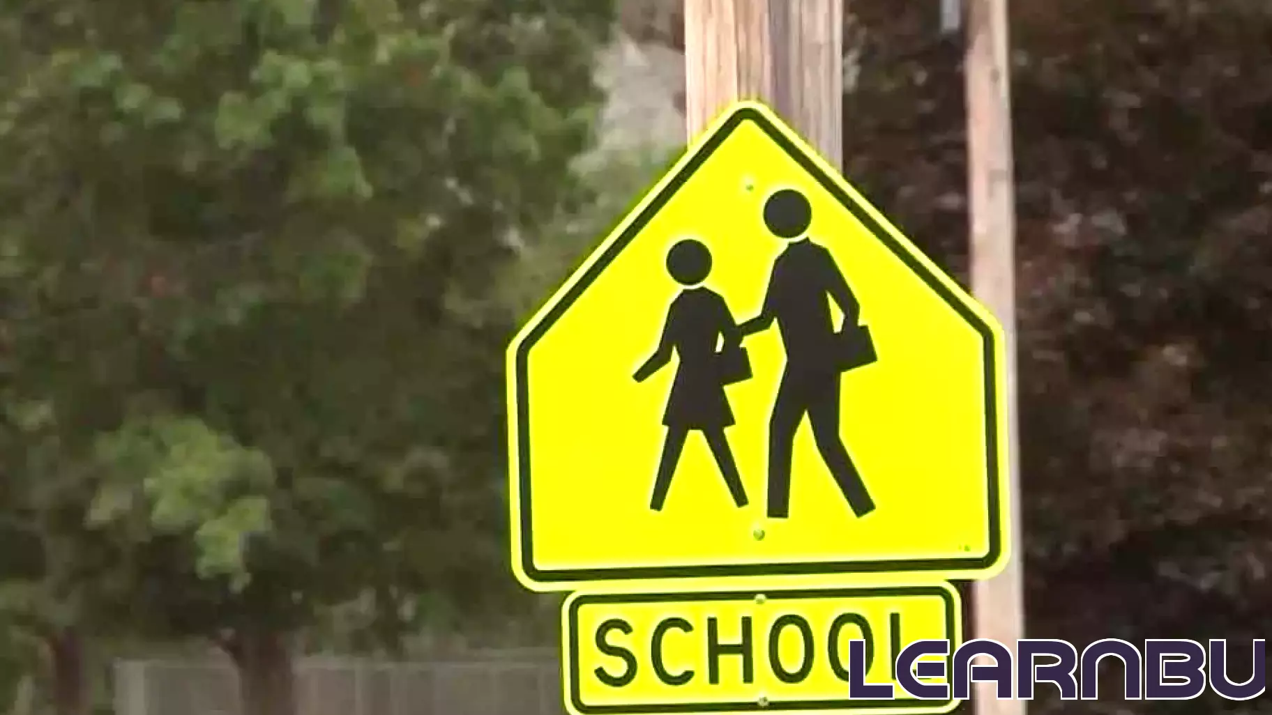 Federal Judge Weighs Action on DEI Policies in Education