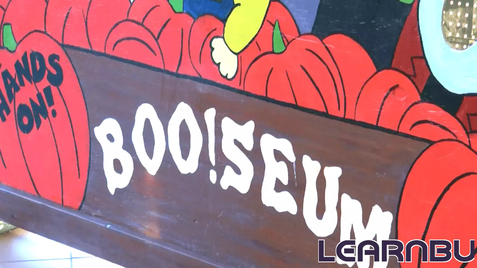 Halloween-Themed Education Event: 'Boo!seum' Celebrates Science and Fun