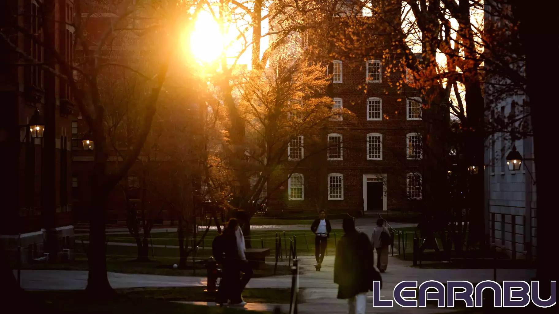 Harvard Takes a Stand Against Trump Administration's Higher Education Policies