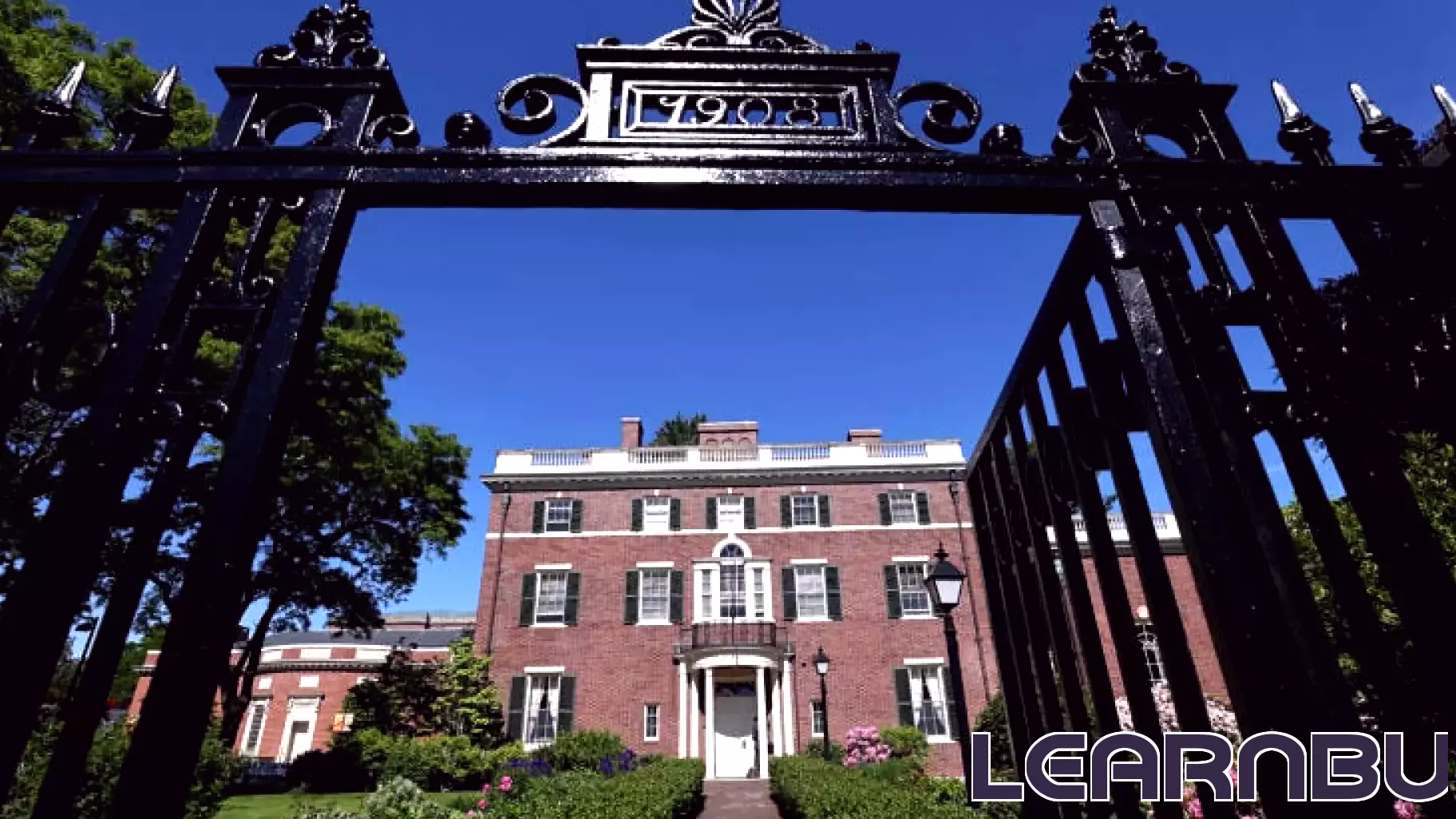 Impact of Trump's Actions Against Harvard on Your Career and Education