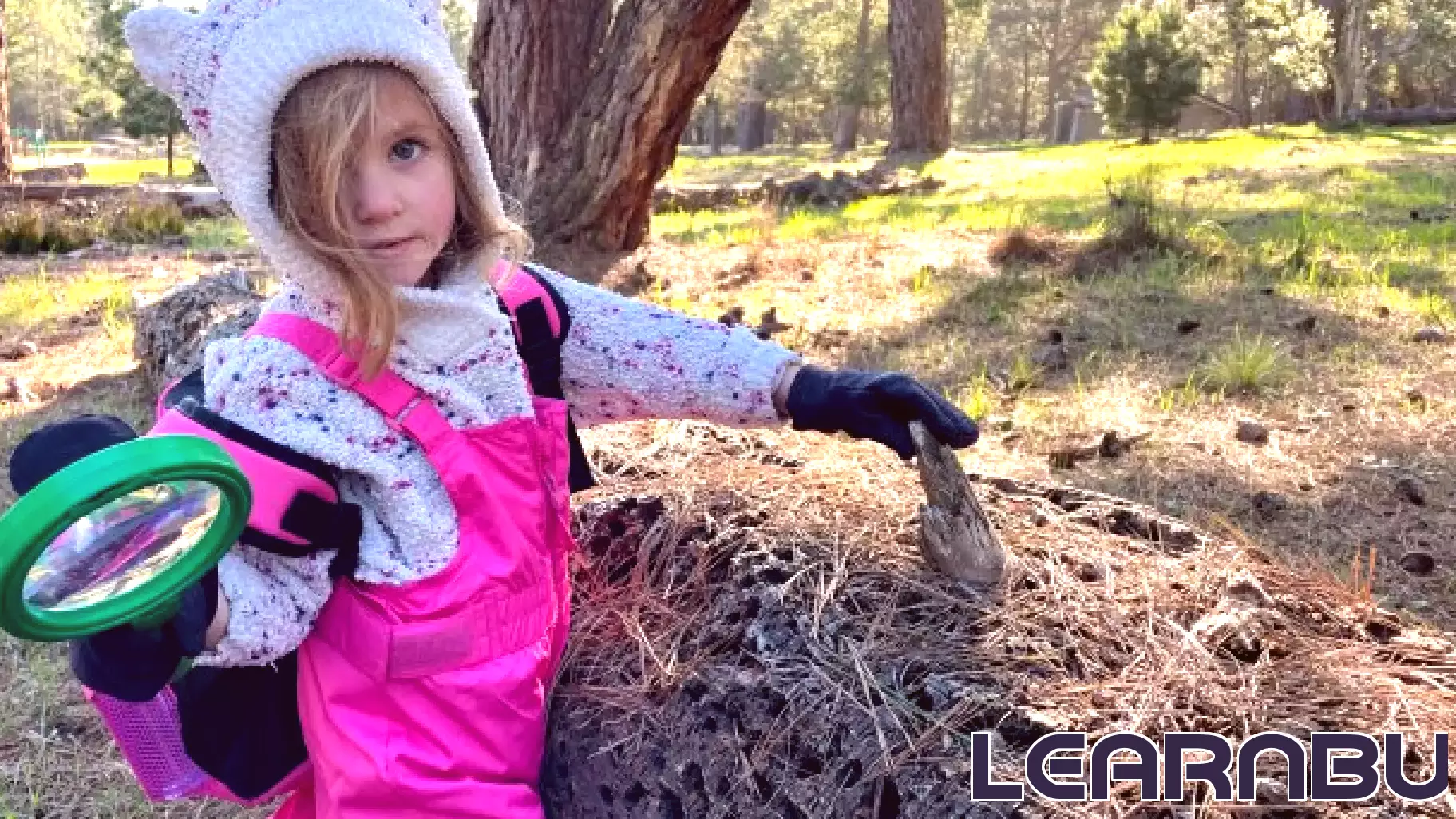 Innovative Outdoor Learning Program Transforms Education in Monterey County