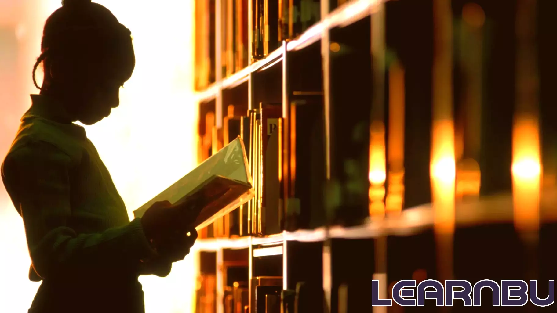 Libraries: Dynamic Hubs of Learning and Community in Southeast Idaho