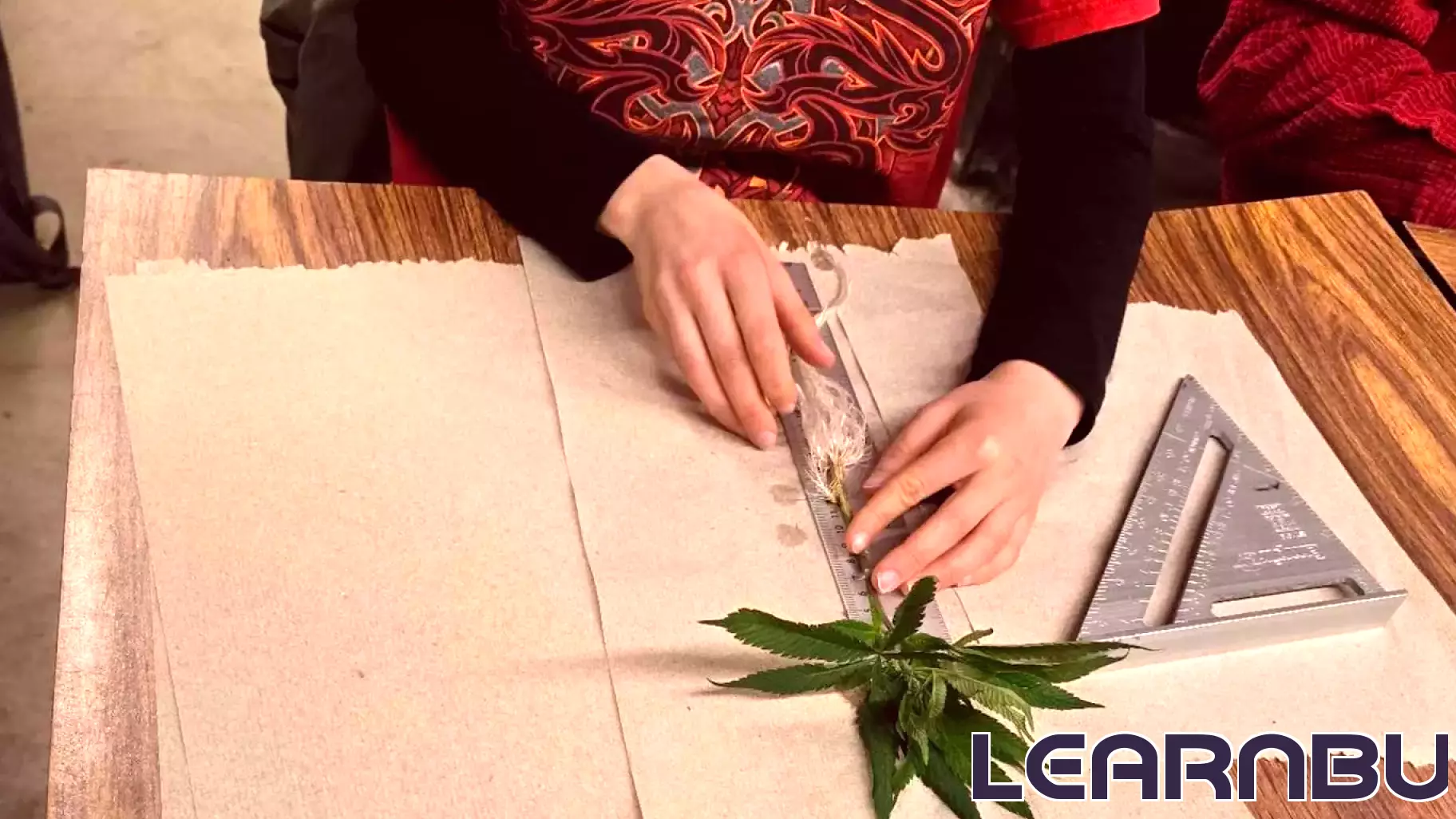 Pioneering Advances in Cannabis Research and Education