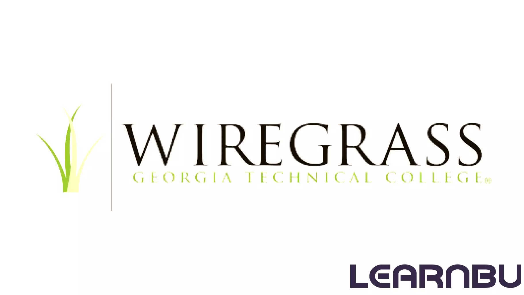 Registration Now Open for Massage Therapy Continuing Education at Wiregrass Georgia Technical College