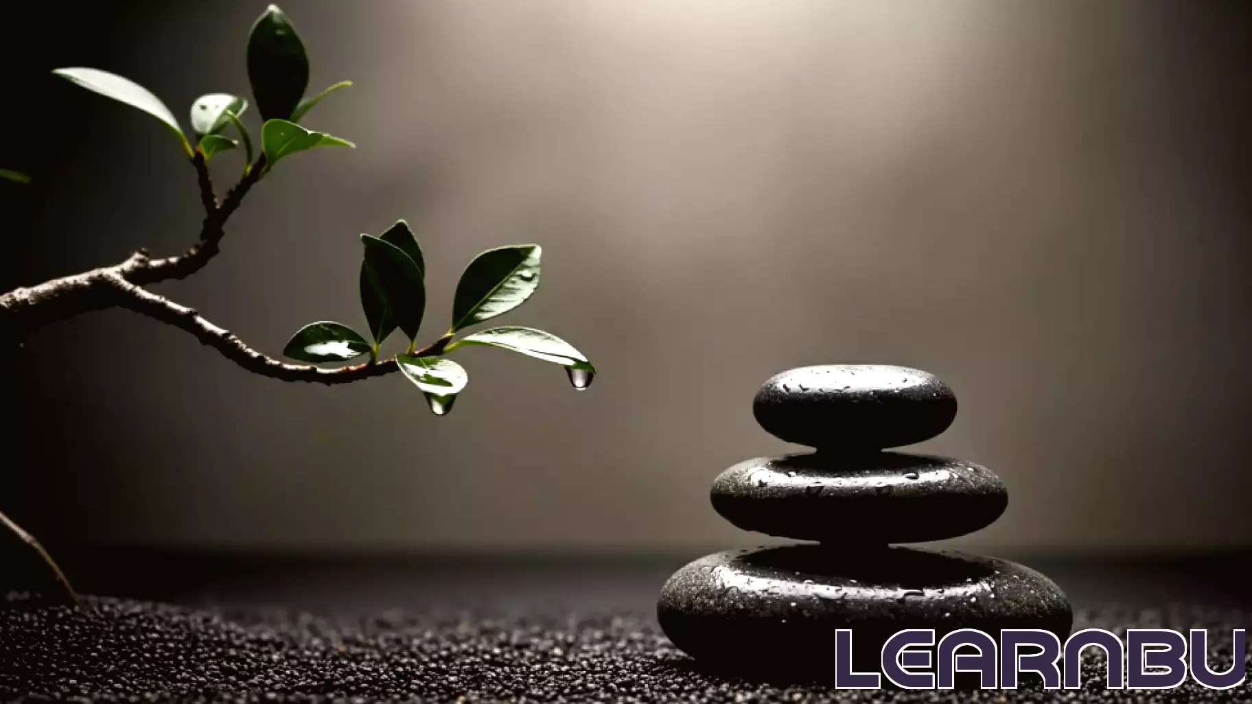 The Patient Transition Dilemma: Understanding Post-Discharge Vulnerabilities