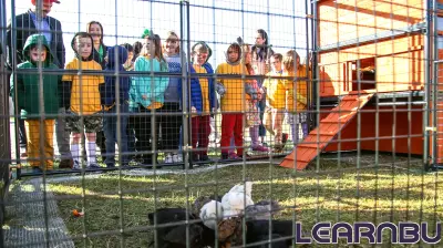 Creekside Elementary School Launches Exciting All In for Ag Education Week