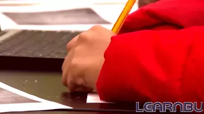 Florida's Critical Teacher Shortage: Key Subject Areas Identified